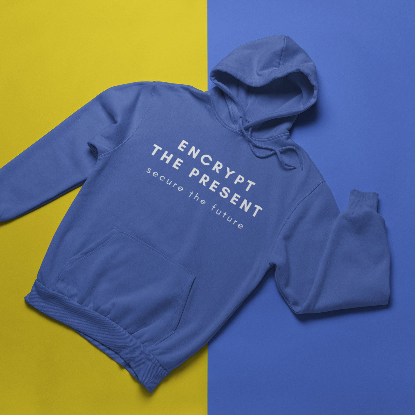 Encrypt the present, secure the future - Heavy Blend™ Hoodie